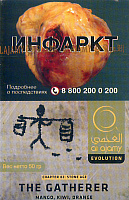 Табак для кальяна Al Ajami The Gatherer манго/киви/апельсин 50 гр