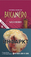  Bucanero Wild Berry