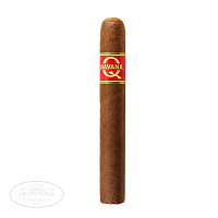  Havana Q Double Toro