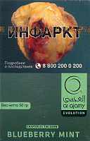 Табак для кальяна Al Ajami Bluberry Mint голубика/мята 50 гр