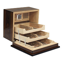   Elevate Rio Rosewood