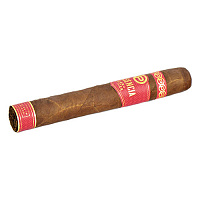 Сигара Plasencia Special Edition Year of the Tiger Toro