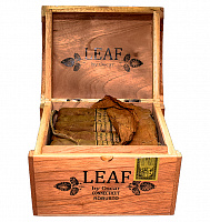  Leaf by Oscar Valladares Connecticut Robusto