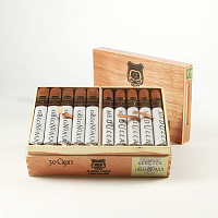  Asylum 13 Medulla Oblongata Robusto