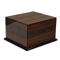   Elevate Rio Rosewood