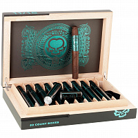  Asylum Twelve 2024 Limited Edition Perfecto Tubos 11/18