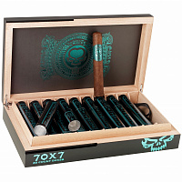  Asylum Twelve 2024 Limited Edition Tubos