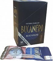  Bucanero Blue hawaii