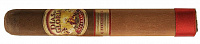  Dias de Gloria Robusto