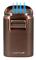  Lotus Brawn Brown Crackle & Copper  T7COP
