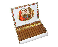 Bolivar Royal Coronas