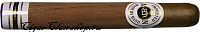 Ashton Classic Double Magnum Cedar