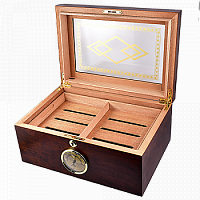  Aficionado AFN-H101D